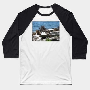 Driftwood at Lincoln Park Baseball T-Shirt